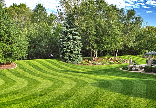 Affordable Lawn maintenance