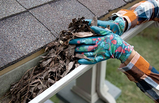 Efficient Gutter Cleanup Service in Tuscaloosa