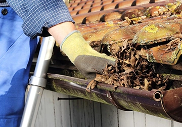 Gutter Cleanups Services​