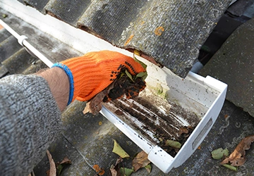 Gutter Cleanups Services​