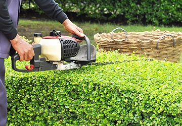 Lawn Maintenance Services​