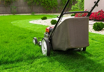 Lawn Maintenance Services​
