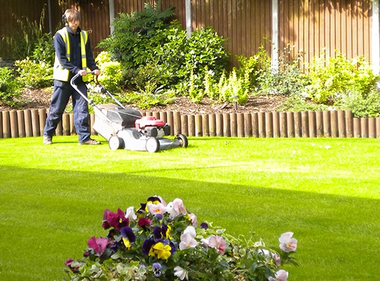 Lawn Care Solutions​