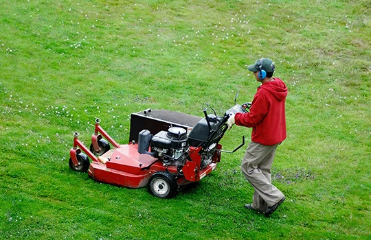 Reliable Lawn maintenance