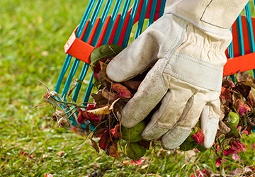 Yard Cleanup Services​