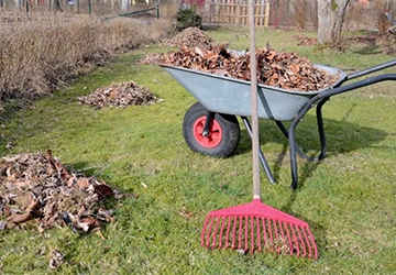 Yard Cleanup Services​
